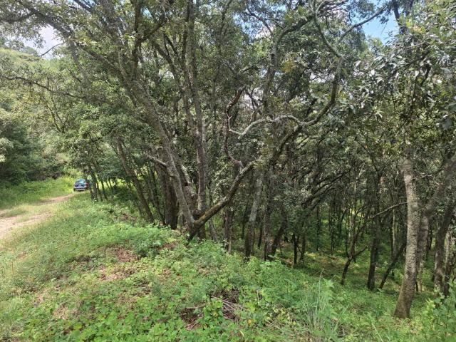 TerrenoVenta de Terreno en Fracc. Campestre lt. 56, MZ 6,Villa del Carb?n