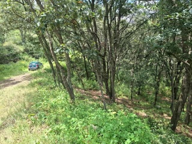 TerrenoVenta de Terreno en Fracc. Campestre lt. 56, MZ 6,Villa del Carbón