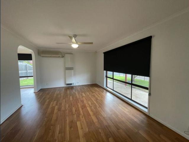 TERRIFIC LOW MAINTENANCE LIVING