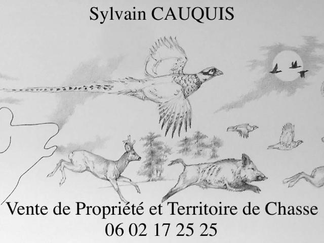 Territoire de Chasse de 171 hectares en Sologne 1m² Brinon sur Sauldre