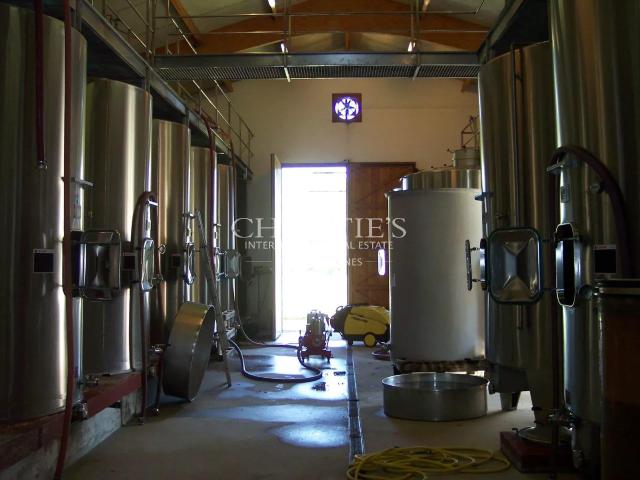 Terroir très qualitatif, Agriculture Biologique, 8 ha de vig. 310m² Saint Magne de Castillon