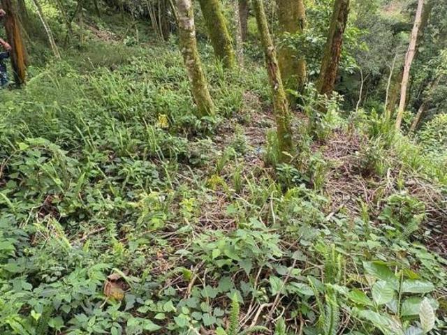 TERRRENO EN VENTA EN LAGUNILLAS, XICOTEPEC