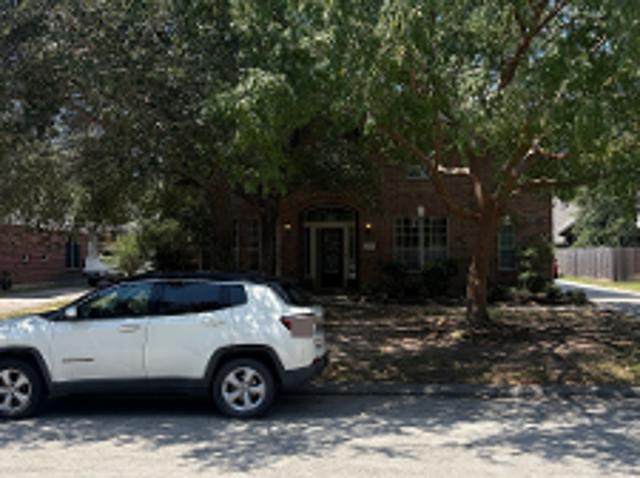 Texas Laurel Trl