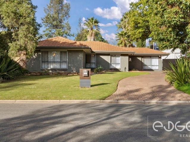 Thoughtfully Renovated Family Home with the Ultimate Entertainer's Backyard!