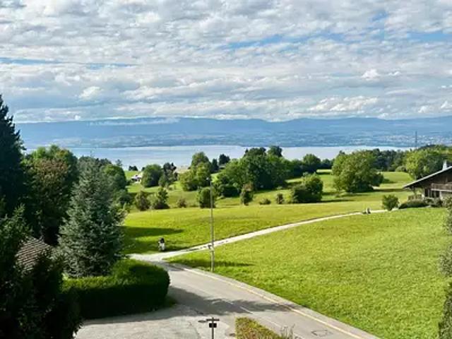 Thollon les Mémises 74500 Achat / Vente appartement 3 pièces t3