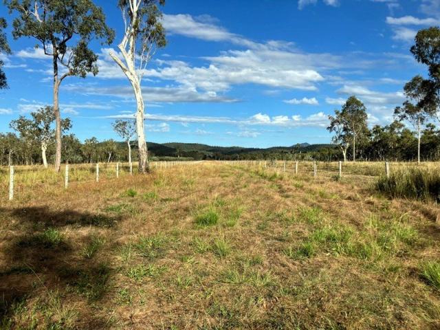 Thoopara Grazing
