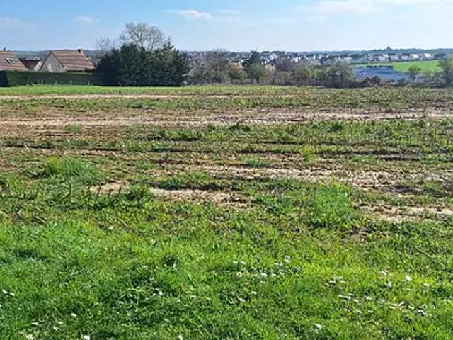 Thaon 14610 Programme neuf maison neuf à vendre 6 pièces