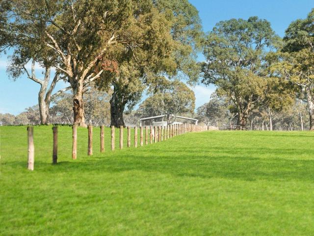 'The 1200' Well balanced, high rainfall versatile country