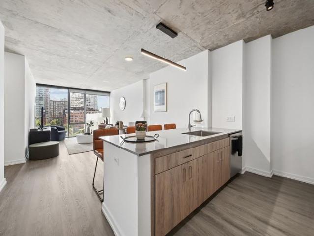 The 808 Cleveland 4 Bedroom Apartment for Rent at 808 N Cleveland Ave, Chicago, IL 60610 Near North Side