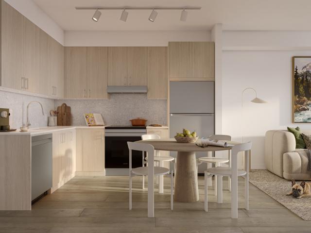 The Collective at MTN Village A Plan Apartment for Rent
