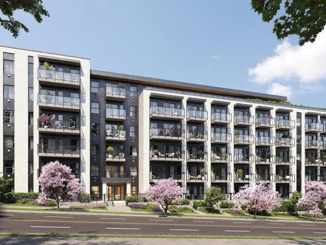 The Collingwood