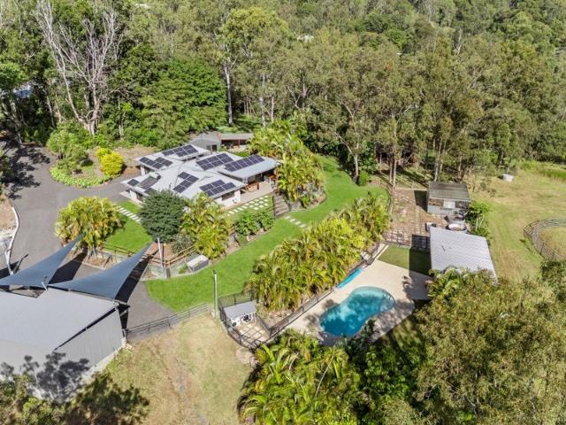 The Complete Canungra Package | Usable Acreage, Renovated Living & Entertaining Without Compromise