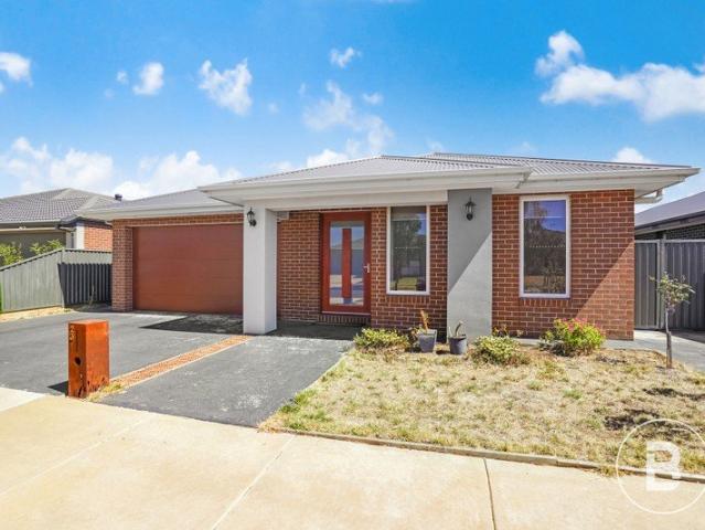 The Complete Family Package in a Prime Lucas Location