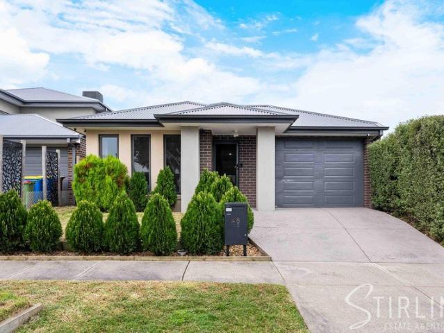 The Complete Family Package in Botanic Ridge