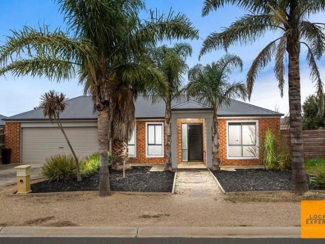 The Complete Family Package on an Expansive 719m² Block With Drive Through access