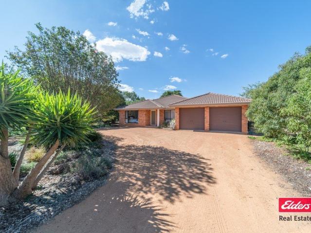 THE COMPLETE PACAKGE 7 ACRE OASIS WITH STANDOUT SHED