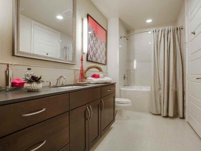 The Catherine 1 Bedroom Apartment for Rent at 214 Barton Springs Rd, Austin, TX 78704 Bouldin Creek