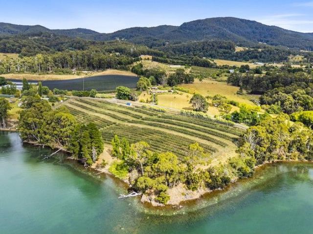 The Cherry Farm For Sale or Lease