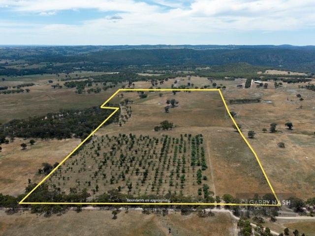 THE ALMOND BLOCK 41ha 101ac