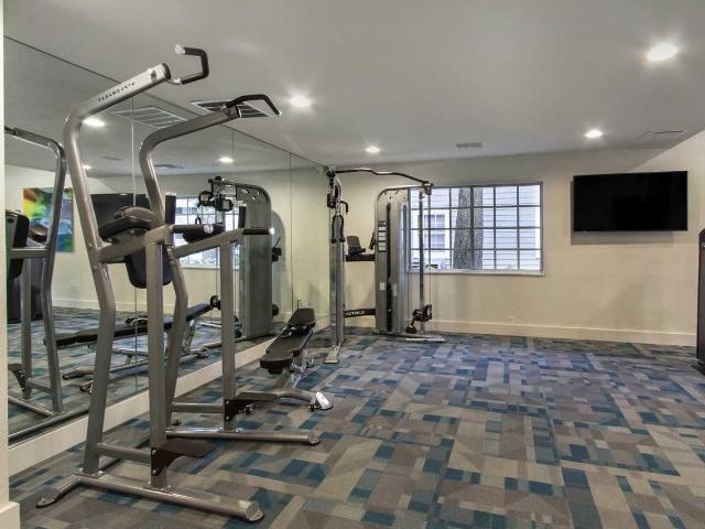 The Ava Apartments Studio Apartment for Rent at 4902 N Macdill Ave, Tampa, FL 33614 Plaza Terrace
