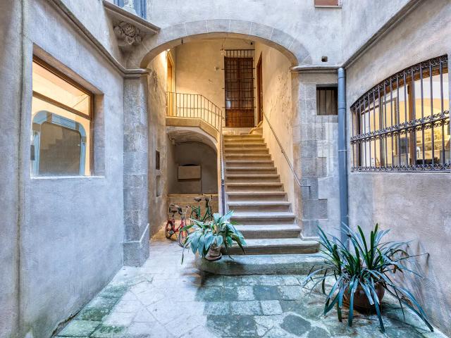 THE BORN PALACE