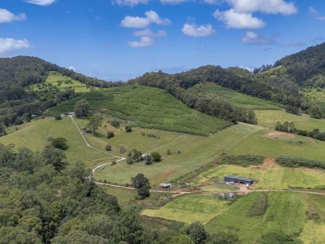 The Best Of Coast And Country In The Nambucca Valley.