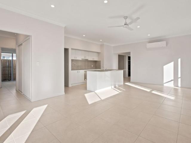 THE BEST OF LILYWOOD LIVING