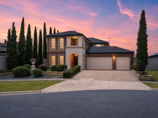 The Brief: Space, Scale and Family Living on 813 m² in a Quiet Kialla Court