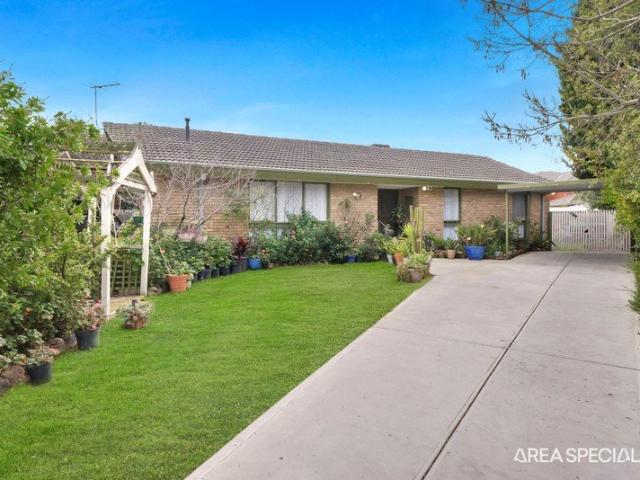 THE BRIEF:Comfortable Family Living with Space, Style and Convenience
