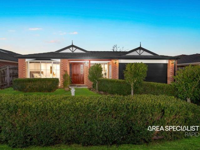 The Brief: Contemporary Family Living with Rumpus & Entertainer's Alfresco