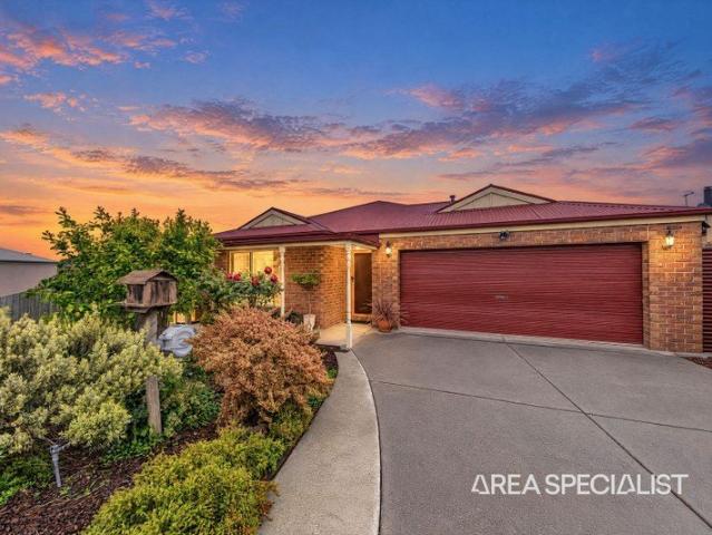 The Brief: Cullen Your Name: Space, Style and a Standout Shed