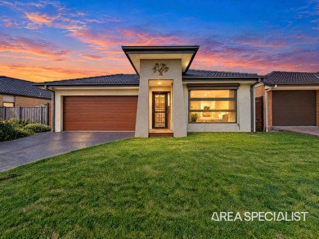 The Brief: A Modern Home Designed for Easy Living