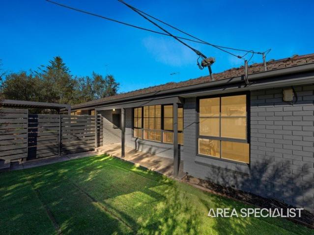 The Brief: An Impressive Opportunity in the Heart of Bulleen