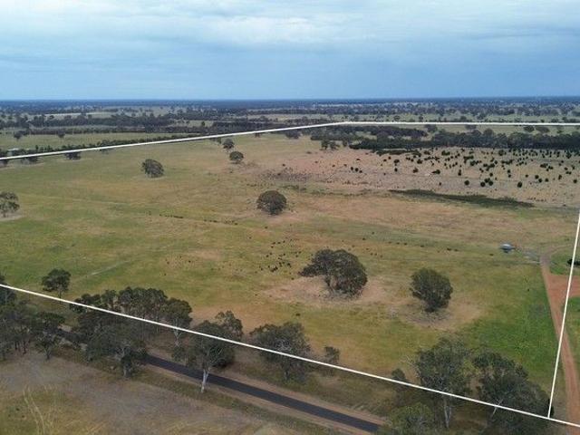 Grazing Land Close to Edenhope