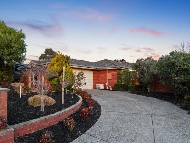 The Brief: Family Friendly Living in a Quiet Court