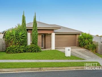 The Brief: Family Home with Media Room and Gas Cooking Northern Gold Coast Living