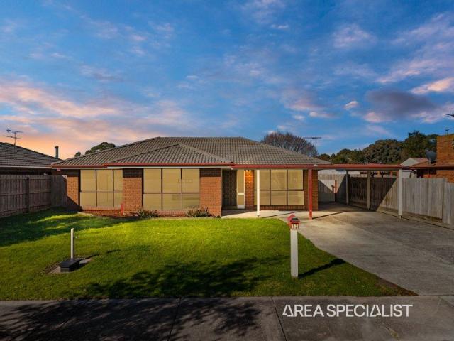 The Brief: Fully Renovated Family Home on 785m² with Future Subdivision Potential