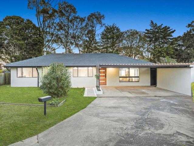The Brief: Fully renovated four bedroom, two bathroom home on generous 767sqm allotment