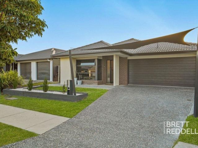 The Brief: House with 10kW Solar, Ducted Air Conditioning and Media Room Family Living in Ormeau
