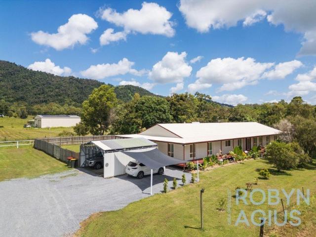 The Brief: Huge Ranch Style Home and Shed on Elevated, North Facing Acreage