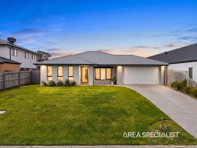 The Brief: Impressive Family Living in the Heart of Lang Lang
