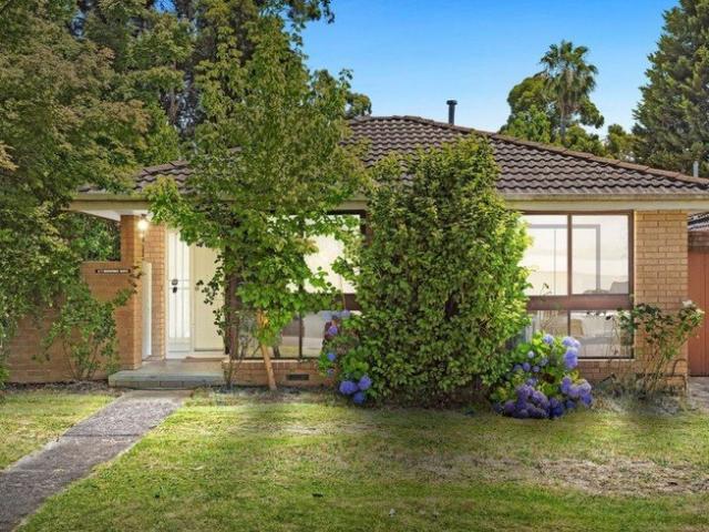 THE BRIEF: Low Maintenance Living