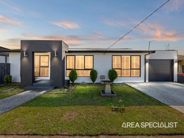 THE BRIEF: Moving to Maughan!