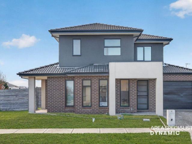 The Brief: Modern Corner Home Opposite Parkland in a Family Friendly Pocket