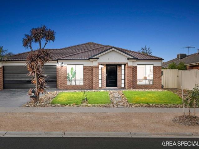 THE BRIEF: Modern Family Comfort with Multiple Living Zones on 675 M2