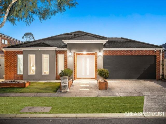 The Brief: Massive family home Multiple Livings Grand Alfresco 536sqm Land!