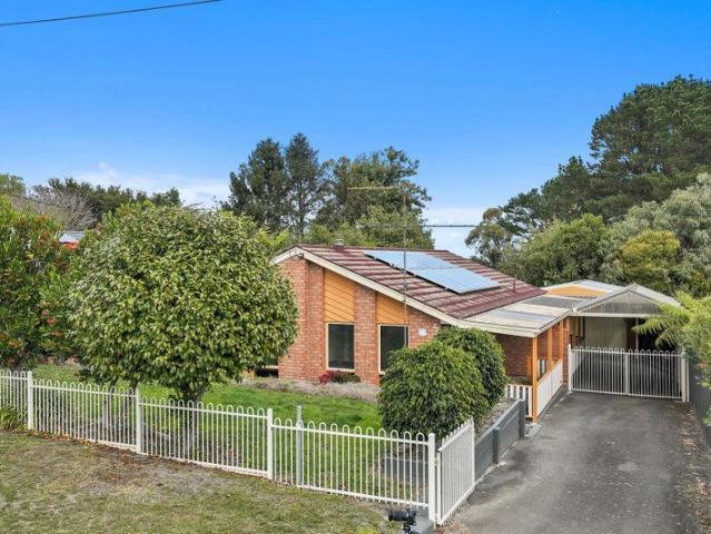 The Brief: Solid Home, Big Shed, Village Lifestyle