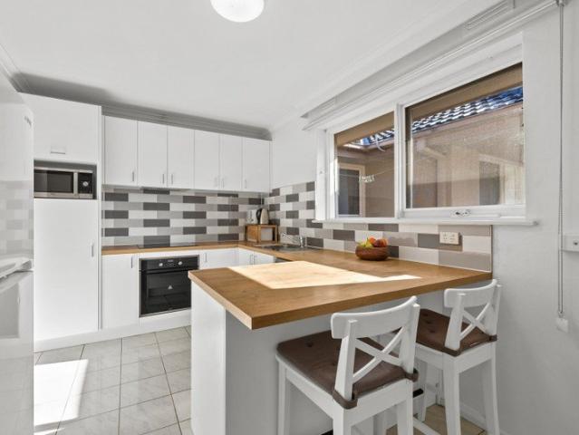 The Brief: Stylish, Light Filled Living in a Boutique Cheltenham Setting