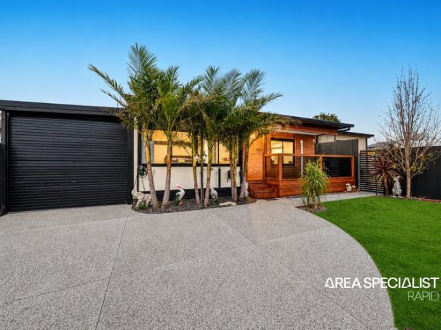 The Brief: Renovated Family Living on a Huge 888m² Approx. Block with Endless Potential