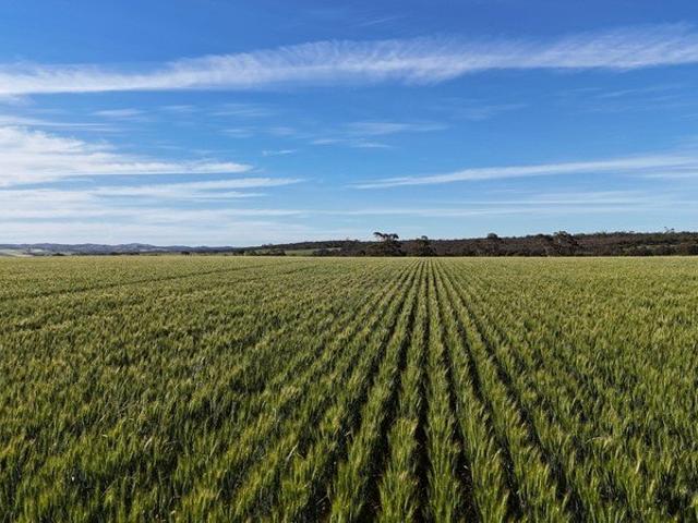 Outstanding Fertile Cropping Opportunity